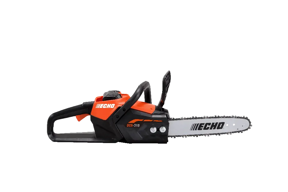 DCS-310