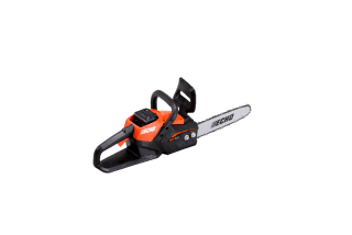 DCS-310